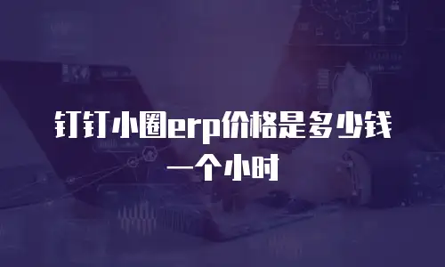 钉钉小圈erp价格是多少钱一个小时