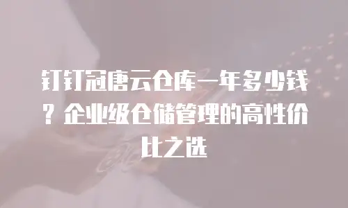 钉钉冠唐云仓库一年多少钱？企业级仓储管理的高性价比之选