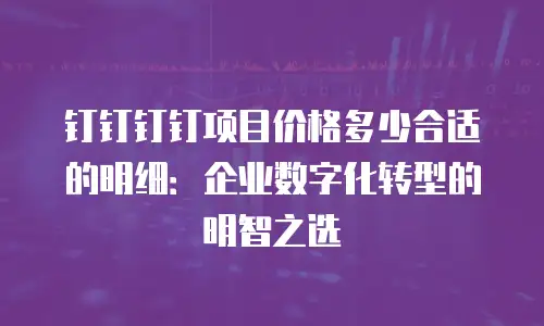 钉钉钉钉项目价格多少合适的明细：企业数字化转型的明智之选