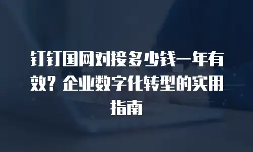 钉钉国网对接多少钱一年有效？企业数字化转型的实用指南