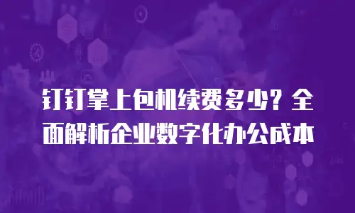 钉钉掌上包机续费多少？全面解析企业数字化办公成本