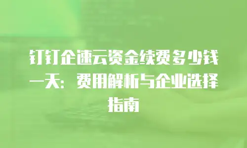钉钉企速云资金续费多少钱一天：费用解析与企业选择指南