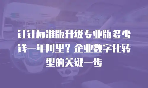 钉钉标准版升级专业版多少钱一年阿里？企业数字化转型的关键一步