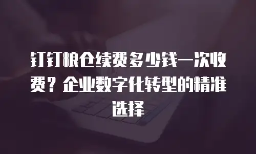 钉钉粮仓续费多少钱一次收费？企业数字化转型的精准选择