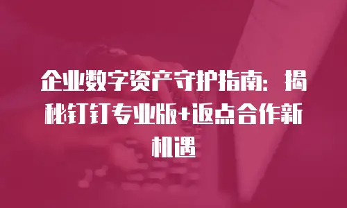 企业数字资产守护指南：揭秘钉钉专业版+返点合作新机遇
