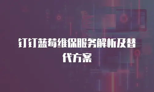 钉钉蓝莓维保服务解析及替代方案