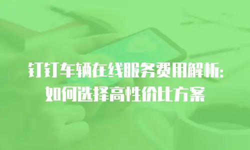 钉钉车辆在线服务费用解析：如何选择高性价比方案