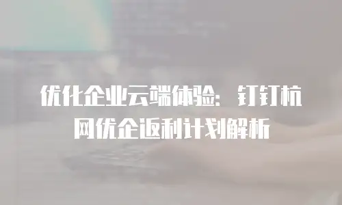 优化企业云端体验：钉钉杭网优企返利计划解析