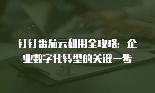 钉钉番茄云租用全攻略：企业数字化转型的关键一步