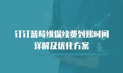 钉钉蓝莓维保续费到账时间详解及优化方案