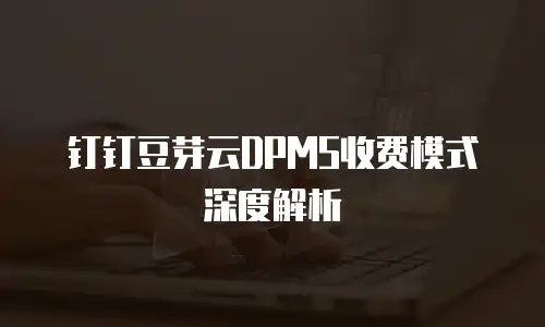 钉钉豆芽云DPMS收费模式深度解析
