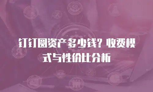 钉钉圆资产多少钱？收费模式与性价比分析