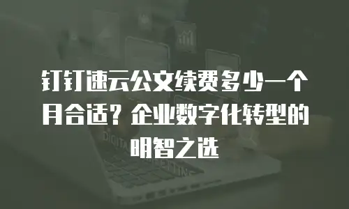 钉钉速云公文续费多少一个月合适？企业数字化转型的明智之选