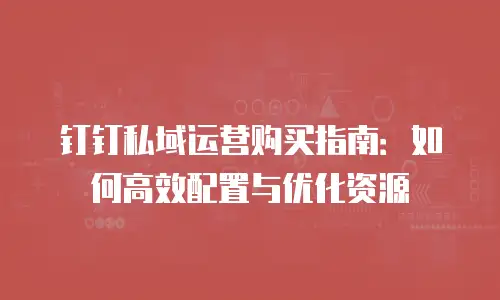 钉钉私域运营购买指南：如何高效配置与优化资源