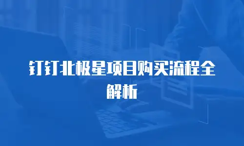 钉钉北极星项目购买流程全解析