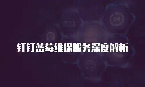钉钉蓝莓维保服务深度解析
