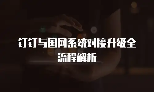 钉钉与国网系统对接升级全流程解析