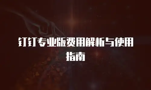 钉钉专业版费用解析与使用指南