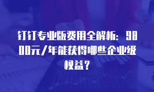 钉钉专业版费用全解析：9800元/年能获得哪些企业级权益？