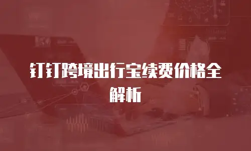钉钉跨境出行宝续费价格全解析