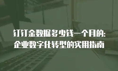 钉钉金数据多少钱一个月的：企业数字化转型的实用指南