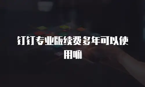 钉钉专业版续费多年可以使用嘛