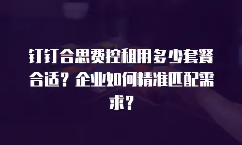 钉钉合思费控租用多少套餐合适？企业如何精准匹配需求？