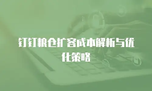 钉钉粮仓扩容成本解析与优化策略