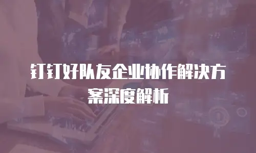 钉钉好队友企业协作解决方案深度解析