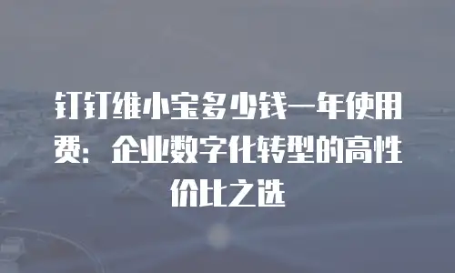 钉钉维小宝多少钱一年使用费：企业数字化转型的高性价比之选