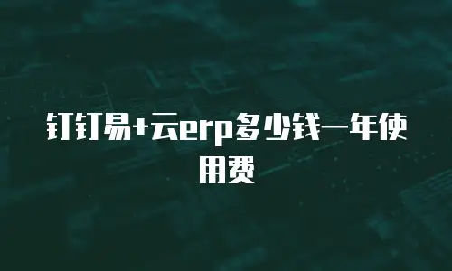 钉钉易+云erp多少钱一年使用费