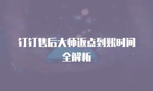 钉钉售后大师返点到账时间全解析