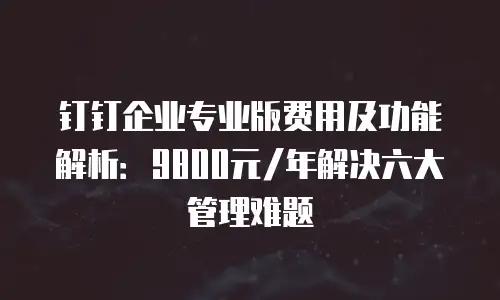钉钉企业专业版费用及功能解析：9800元/年解决六大管理难题