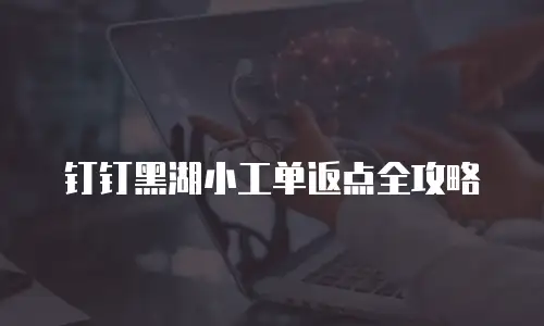 钉钉黑湖小工单返点全攻略