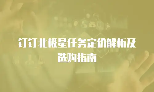 钉钉北极星任务定价解析及选购指南
