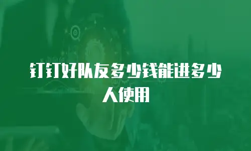 钉钉好队友多少钱能进多少人使用