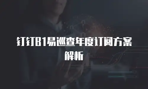 钉钉B1易巡查年度订阅方案解析