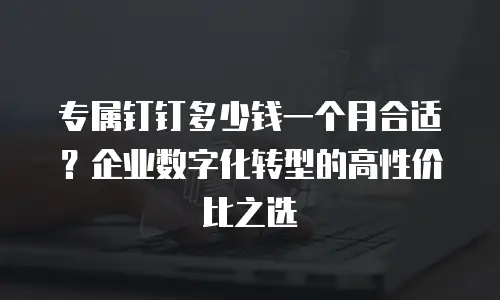 专属钉钉多少钱一个月合适？企业数字化转型的高性价比之选