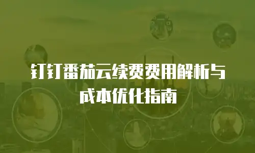 钉钉番茄云续费费用解析与成本优化指南