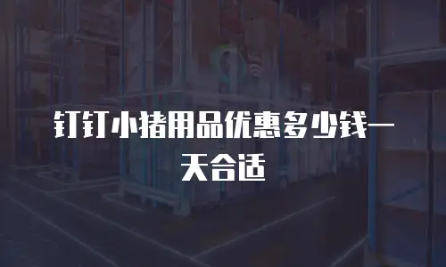 钉钉小猪用品优惠多少钱一天合适