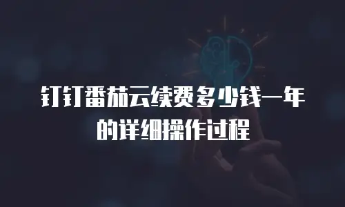 钉钉番茄云续费多少钱一年的详细操作过程