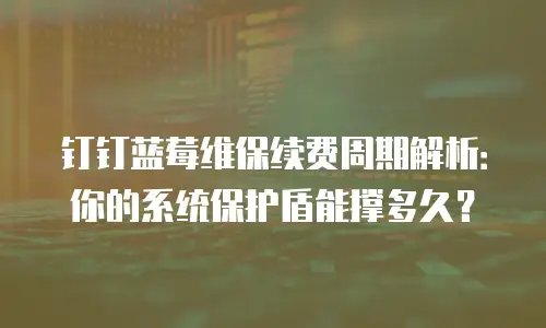 钉钉蓝莓维保续费周期解析：你的系统保护盾能撑多久？