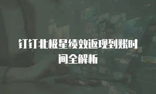 钉钉北极星绩效返现到账时间全解析