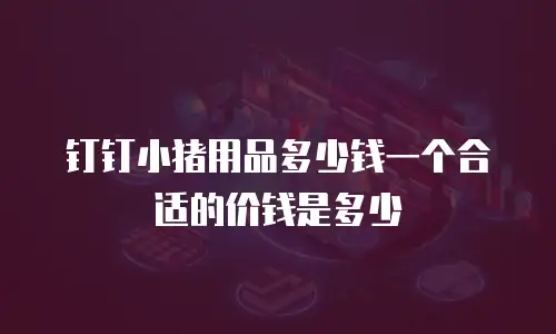 钉钉小猪用品多少钱一个合适的价钱是多少