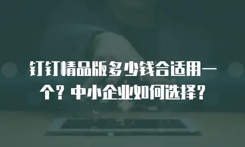钉钉精品版多少钱合适用一个？中小企业如何选择？