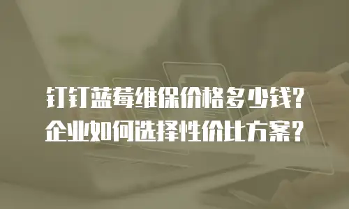 钉钉蓝莓维保价格多少钱？企业如何选择性价比方案？