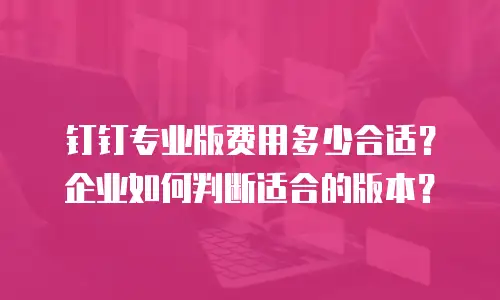 钉钉专业版费用多少合适？企业如何判断适合的版本？