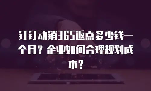 钉钉动销365返点多少钱一个月？企业如何合理规划成本？