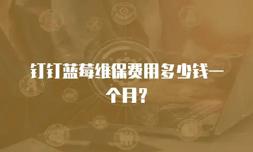 钉钉蓝莓维保费用多少钱一个月？