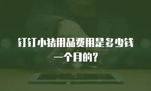 钉钉小猪用品费用是多少钱一个月的？